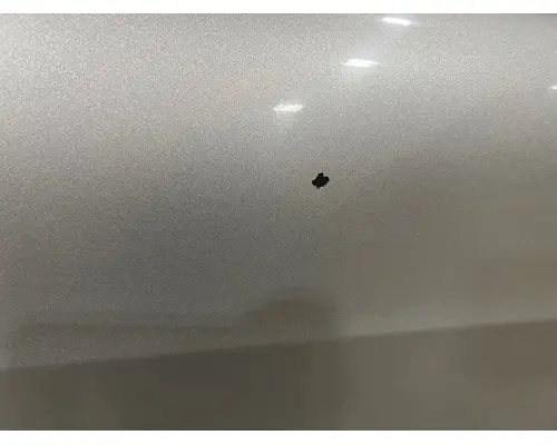 PETERBILT 579 Hood
