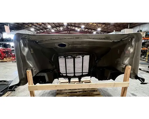 PETERBILT 579 Hood