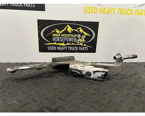 PETERBILT 579 Hood