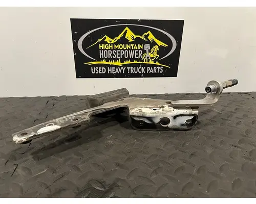 PETERBILT 579 Hood