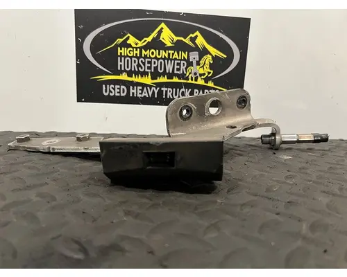 PETERBILT 579 Hood