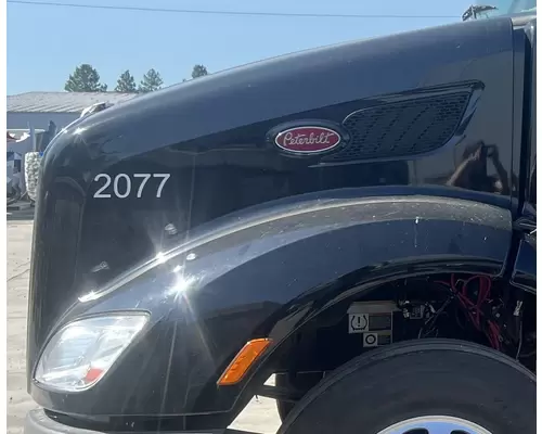 PETERBILT 579 Hood