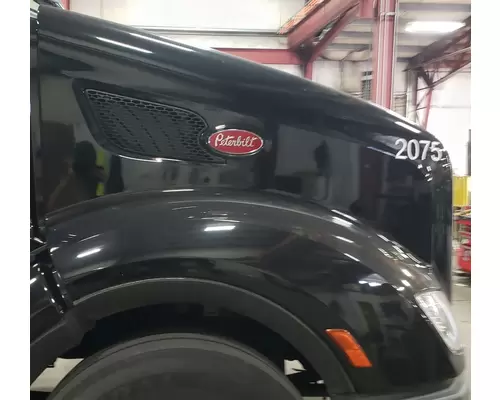 PETERBILT 579 Hood