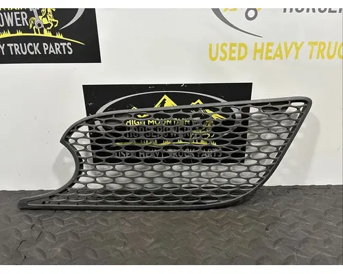 PETERBILT 579 Hood