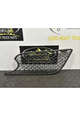 PETERBILT 579 Hood