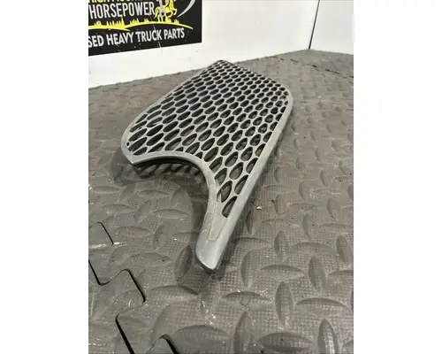 PETERBILT 579 Hood