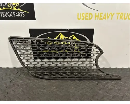 PETERBILT 579 Hood