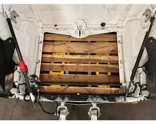 PETERBILT 579 Hood