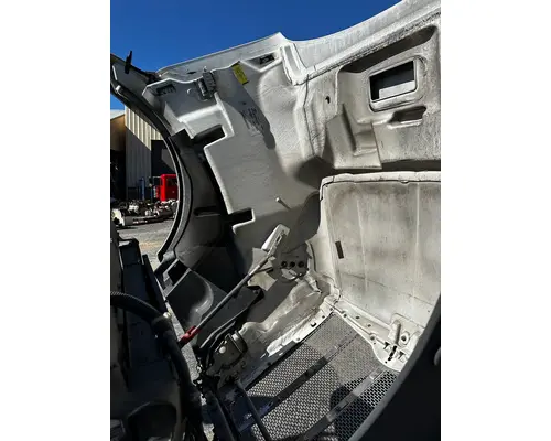 PETERBILT 579 Hood