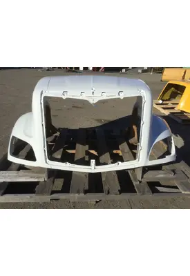 PETERBILT 579 Hood