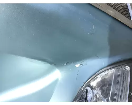 PETERBILT 579 Hood