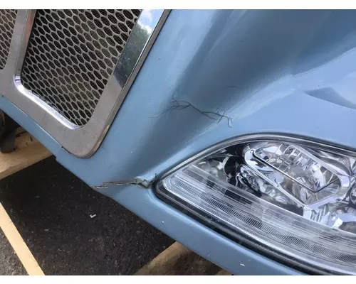 PETERBILT 579 Hood