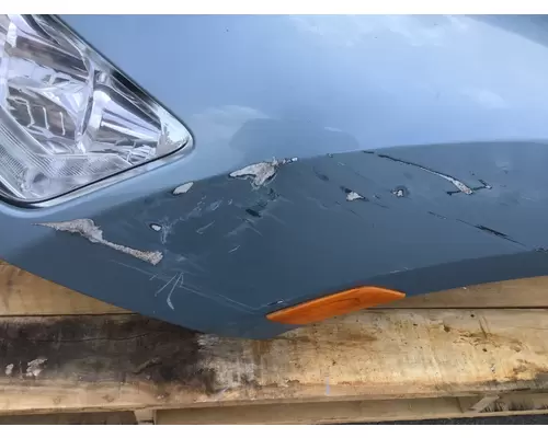 PETERBILT 579 Hood