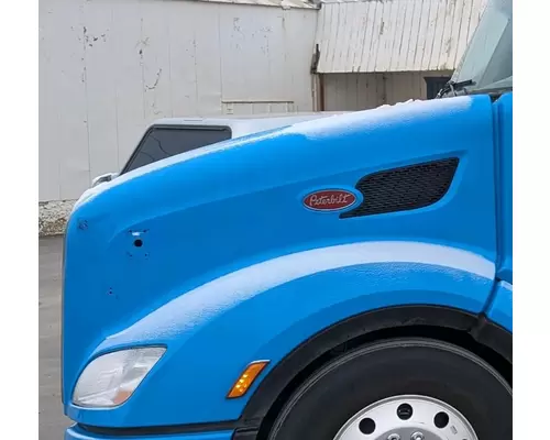 PETERBILT 579 Hood