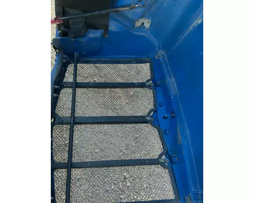 PETERBILT 579 Hood