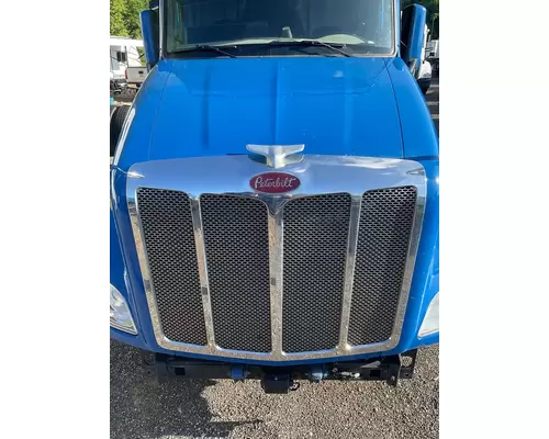 PETERBILT 579 Hood