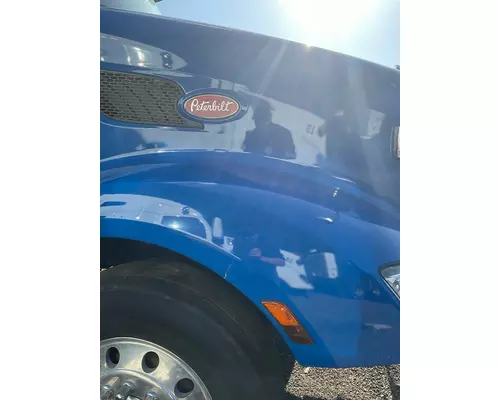 PETERBILT 579 Hood