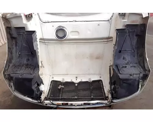 PETERBILT 579 Hood