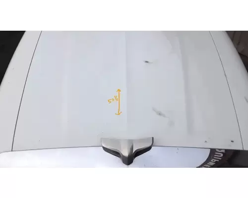 PETERBILT 579 Hood