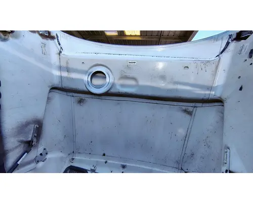PETERBILT 579 Hood