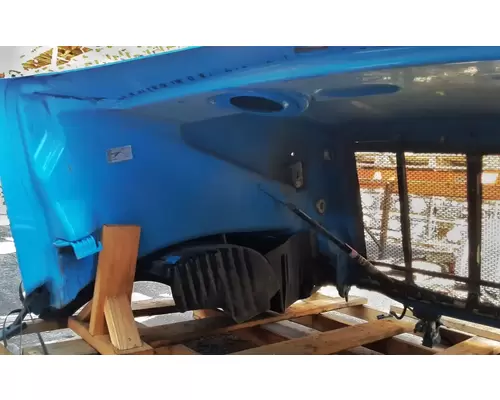 PETERBILT 579 Hood