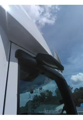 PETERBILT 579 MIRROR LOOK DOWN