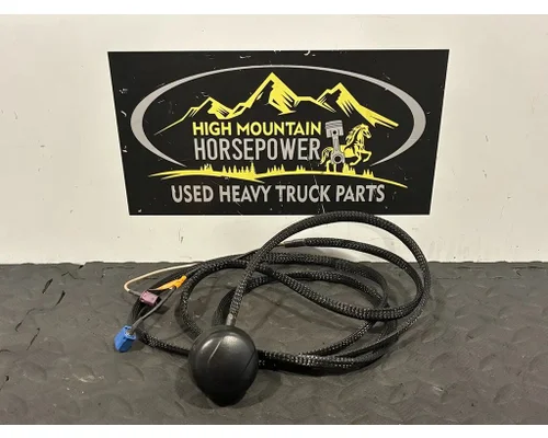 PETERBILT 579 Radio