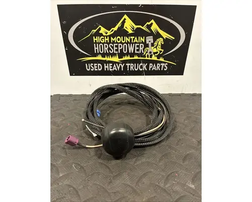 PETERBILT 579 Radio