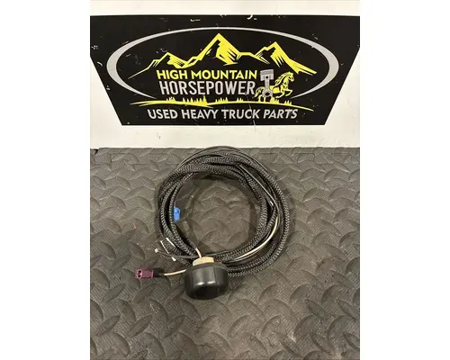 PETERBILT 579 Radio