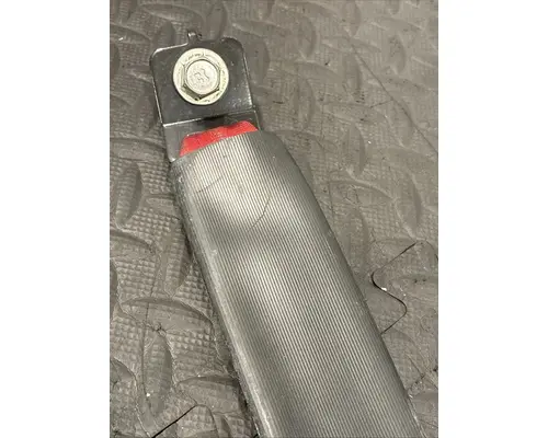 PETERBILT 579 Seat Belt