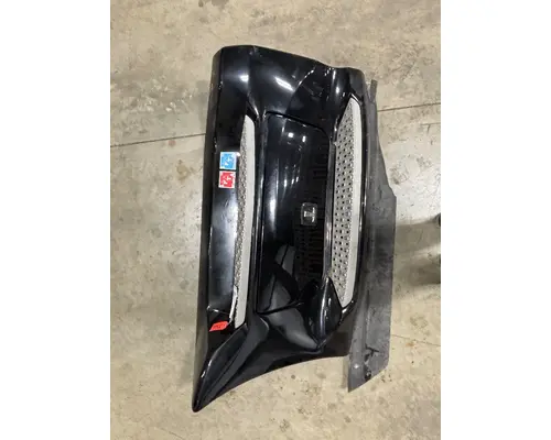 PETERBILT 579 Skirt