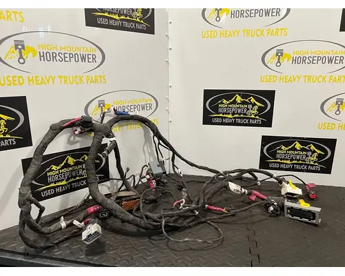 PETERBILT 579 Wiring Harness,Engine 