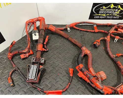 PETERBILT 579 Wiring Harness,Engine 