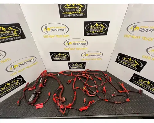 PETERBILT 579 Wiring Harness,Engine 