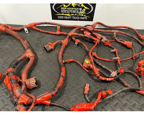 PETERBILT 579 Wiring Harness,Engine 