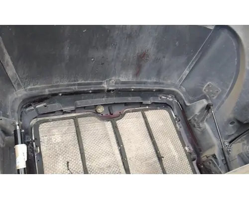 PETERBILT 587 2011-2025 HOOD