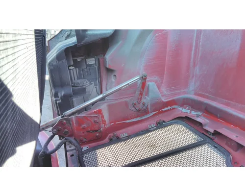 PETERBILT 587 2011-2025 HOOD
