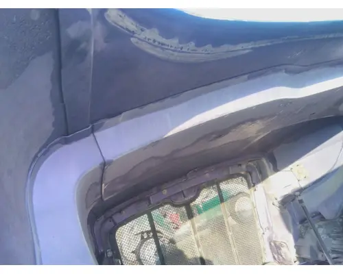 PETERBILT 587 2011-2025 HOOD