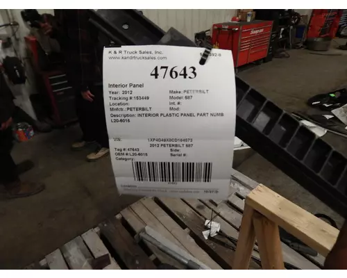 PETERBILT 587 Door Panel (Trim)