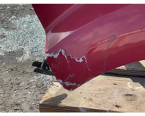 PETERBILT 587 Hood