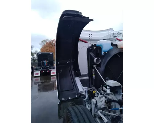 PETERBILT 589 LONG HOOD Hood