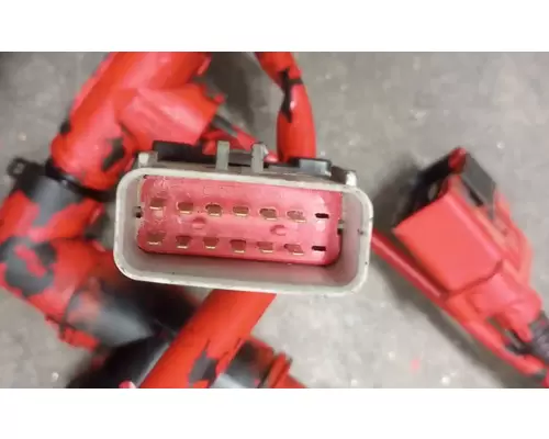 PETERBILT WT6630D Wire Harness, Transmission