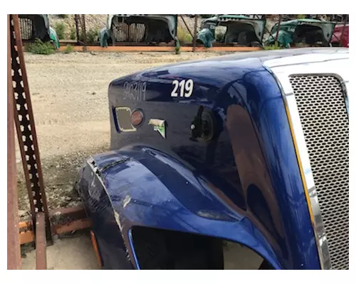 PETE 579 Hood
