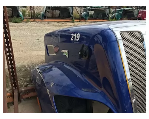 PETE 579 Hood
