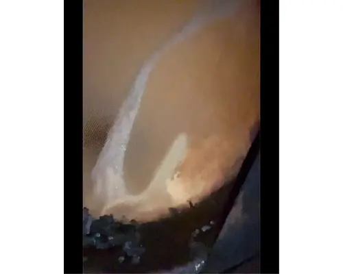 DPF (Diesel Particulate Filter) Peterbilt 337 Complete Recycling Group LLC