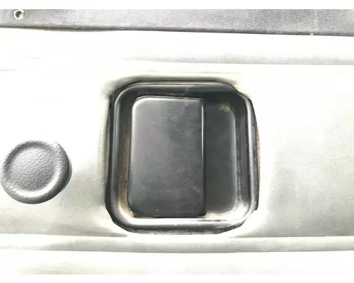 Peterbilt 377 Door Assembly, Front