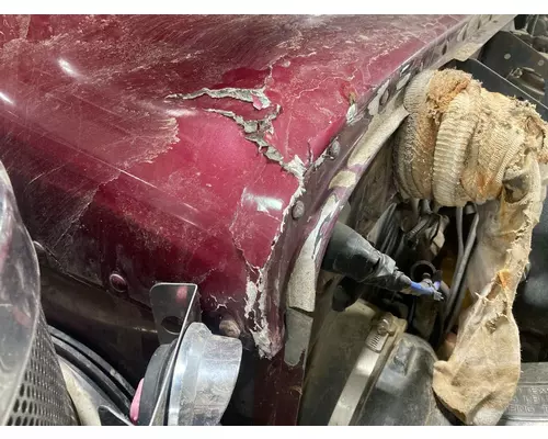 Peterbilt 379 Cab Assembly