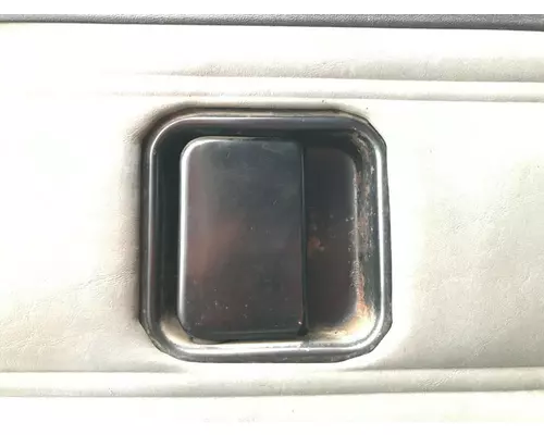 Peterbilt 379 Door Assembly, Front