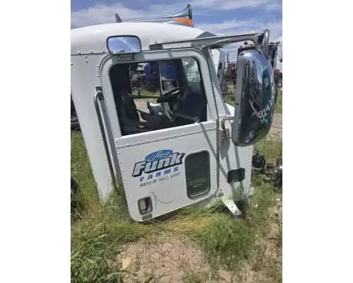 Peterbilt 384 Door Assembly, Front