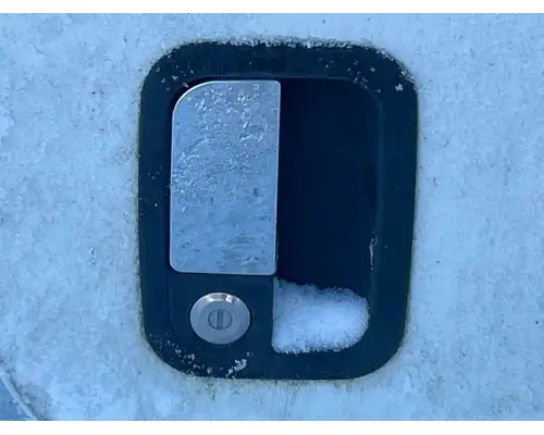 Peterbilt 386 Door Assembly, Front